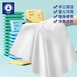 Handy Wet wipes(10 packed) 2