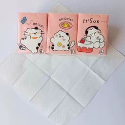 Pocket Tissues 2